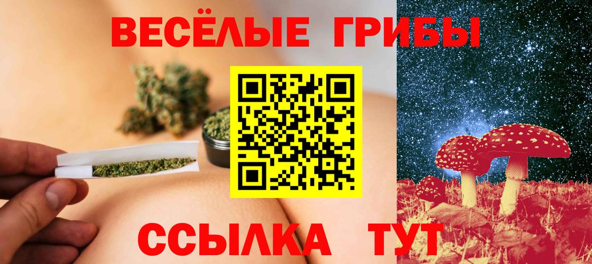 Галлюциногенные грибы Psilocybine cubensis Каменск-Шахтинский