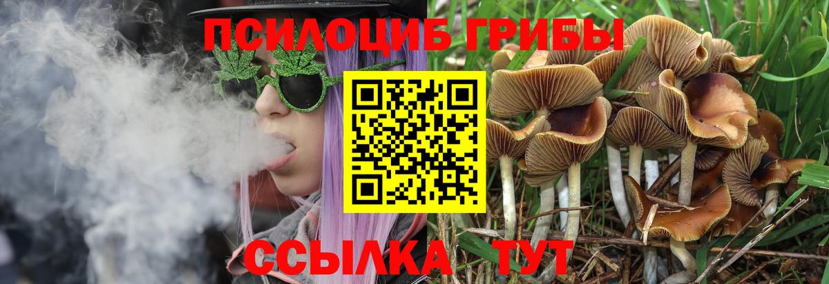 Галлюциногенные грибы MAGIC MUSHROOMS  Вход с VPN  Каменск-Шахтинский 